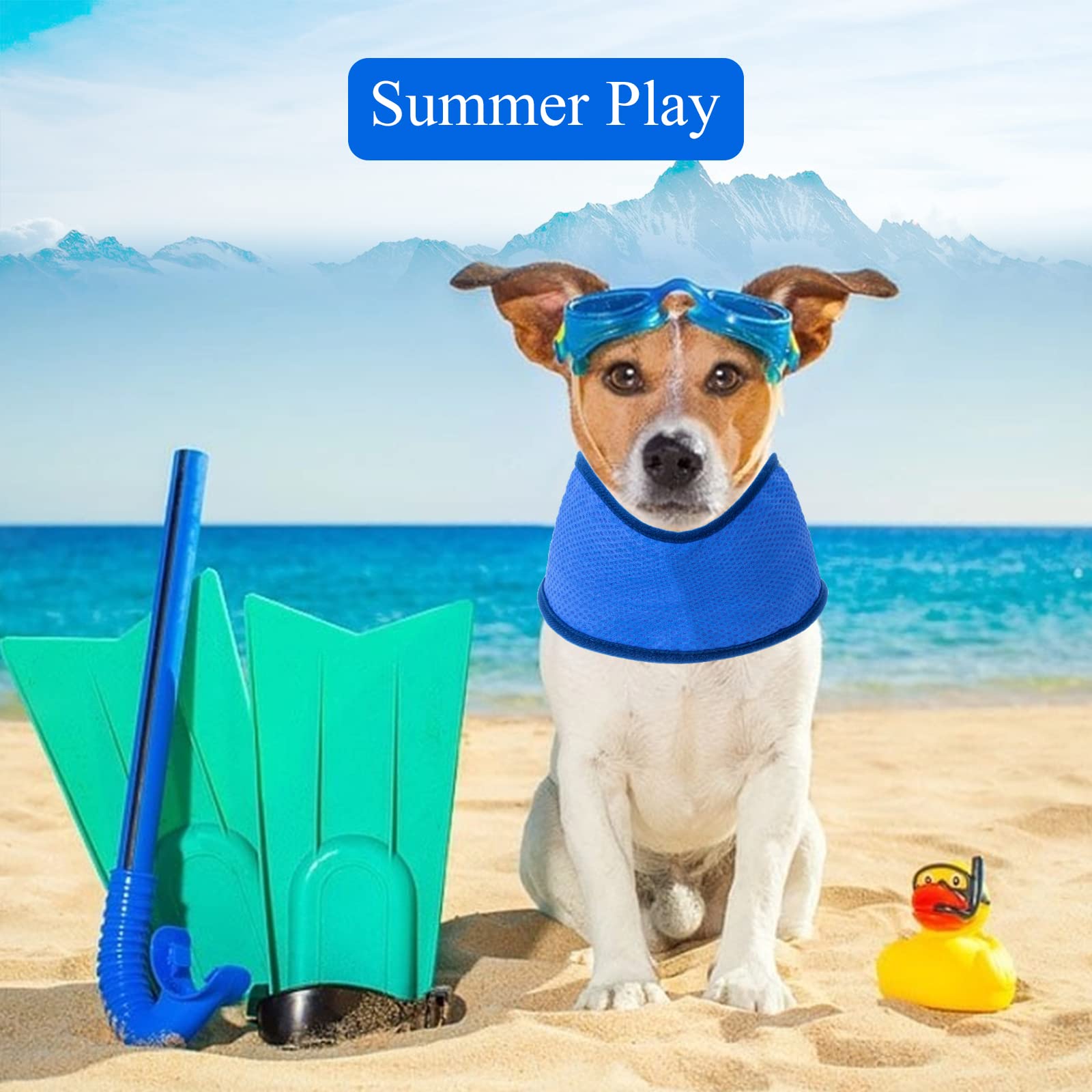 강아지 클링 스카프 이미지