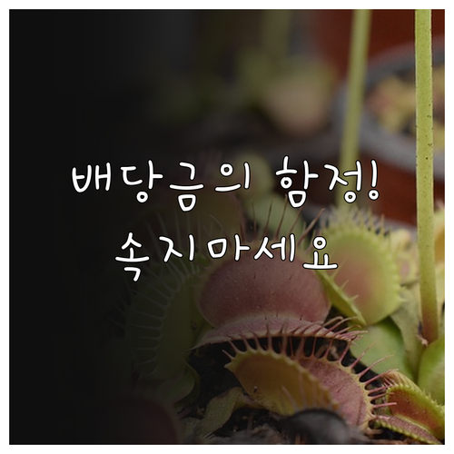 수익률 높은 배당주 투자 시 주의해야..