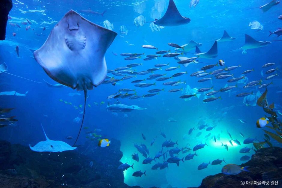 고양 가볼만한곳 베스트10