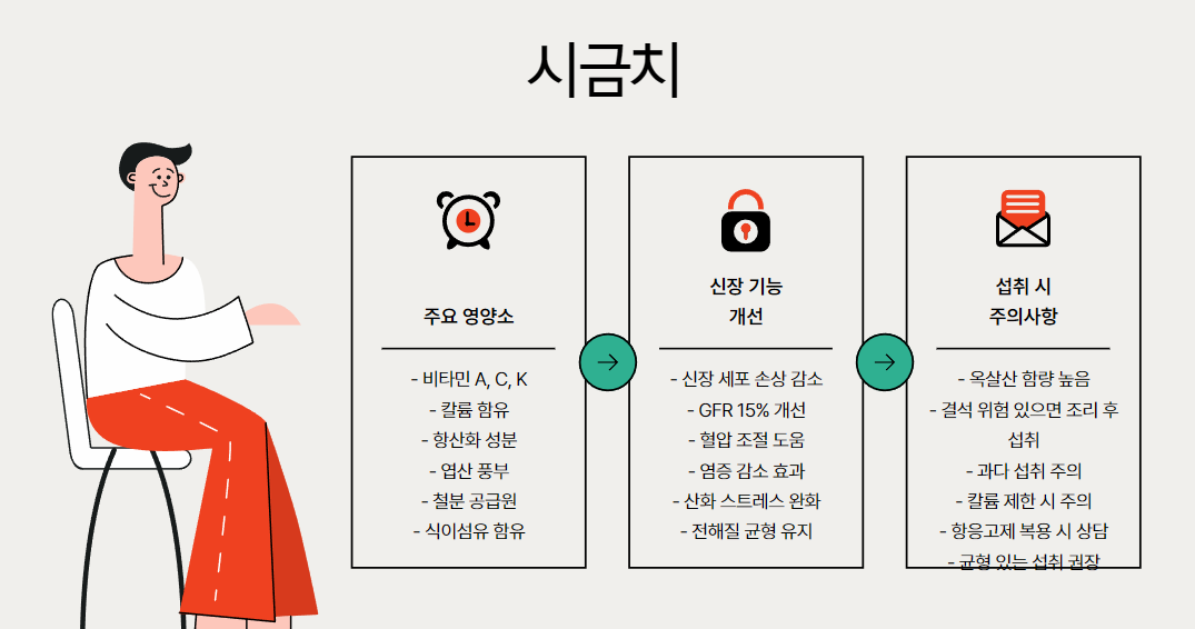 시금치: 신장 기능 지원