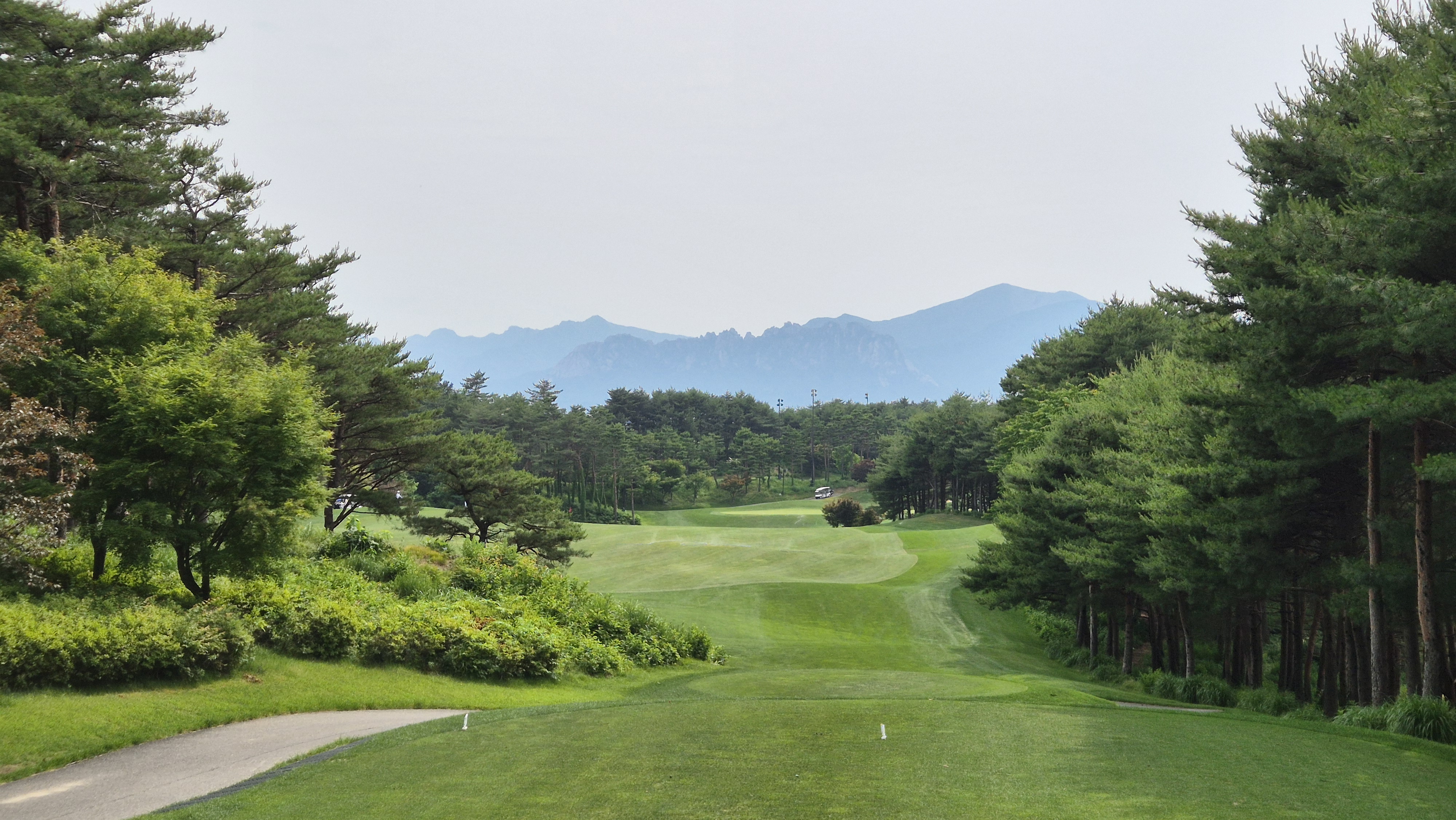 파인리즈cc 후기 및 코스사진