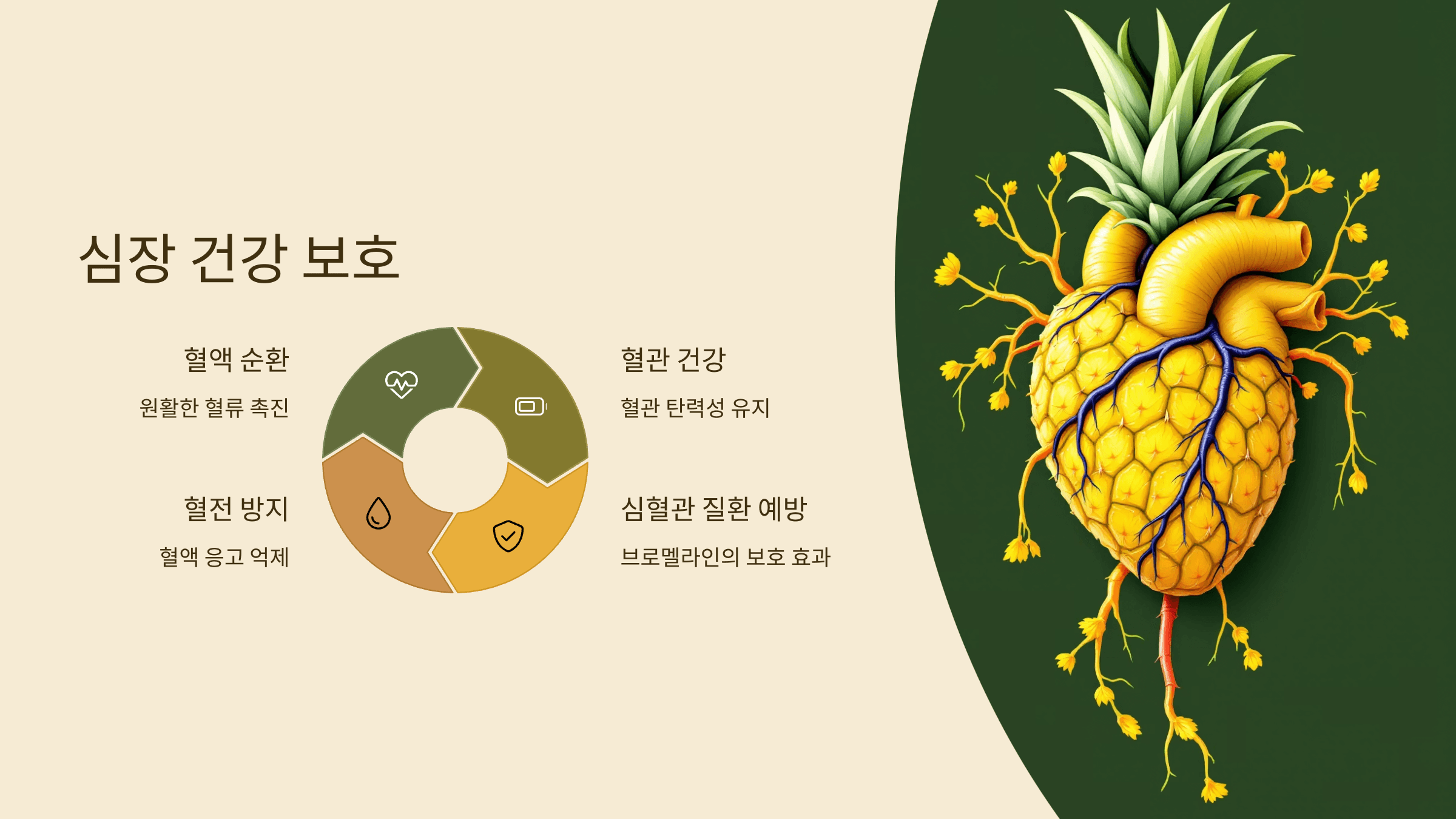 파인애플 사진입니다.