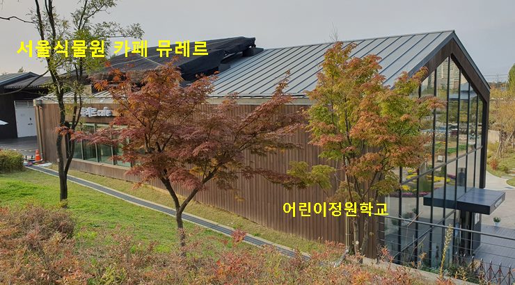 서울식물원 카페 뮤레르