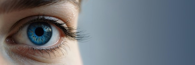 무감각한 눈동자