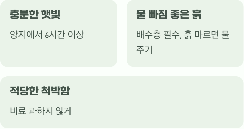 오래도록 꽃을 즐기는 작은 비결