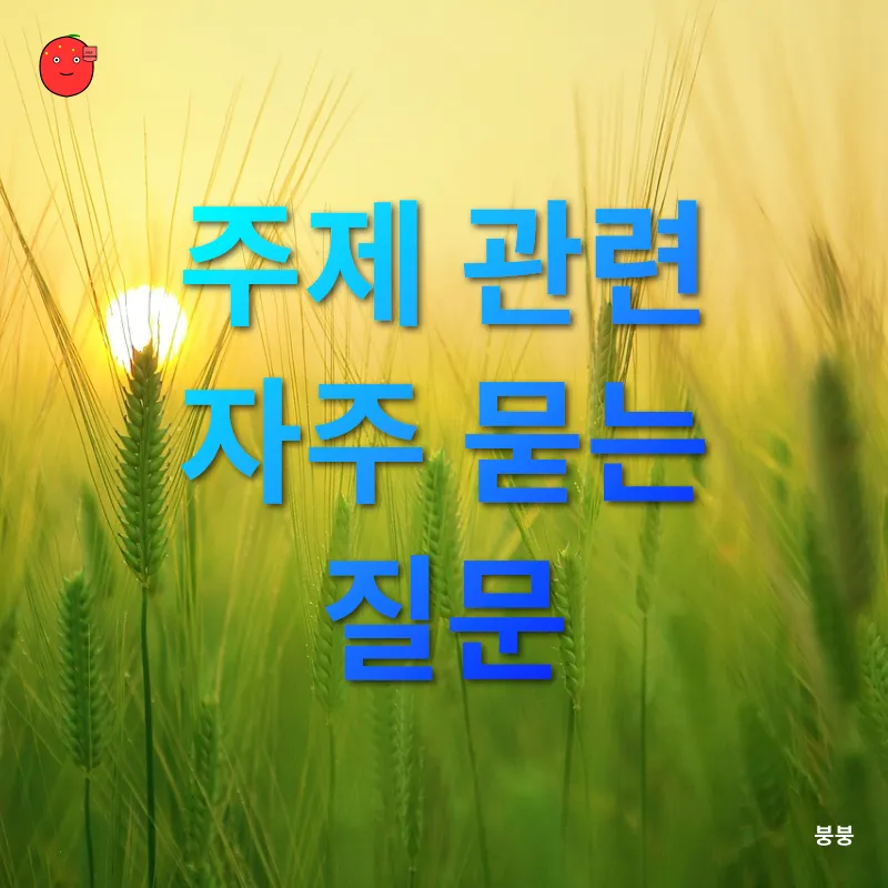 제주 여행_4