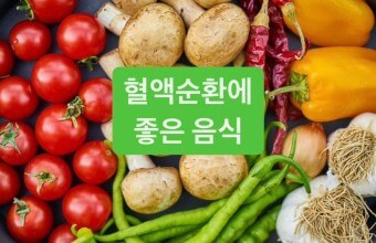  혈관건강에 좋은 음식들