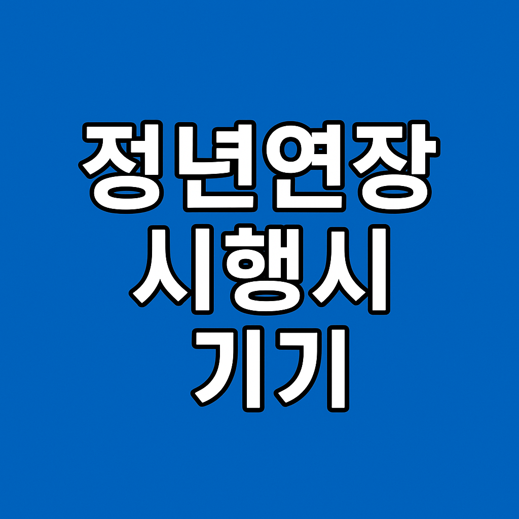 정년연장 시행시기 체크방법