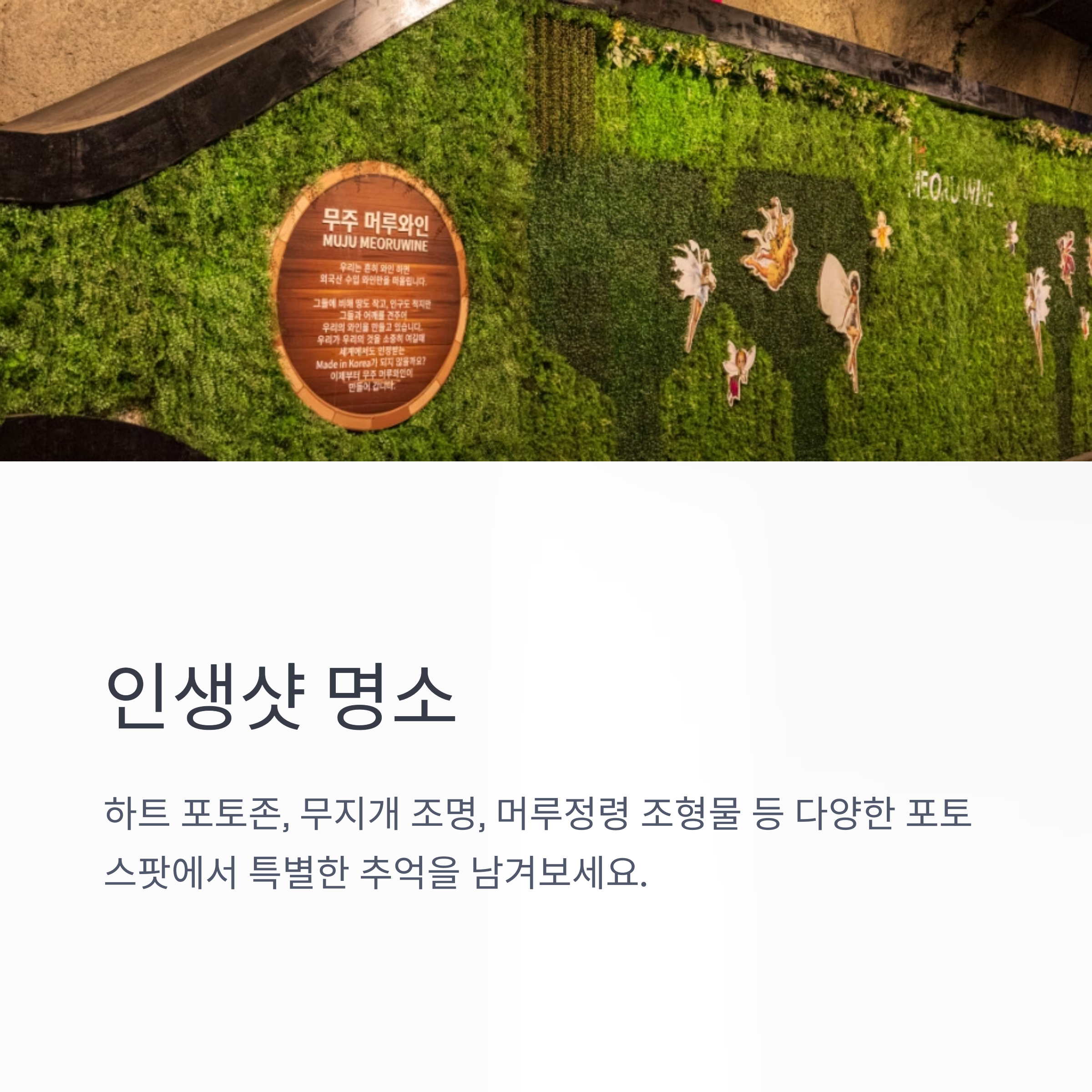 인생샷 명소