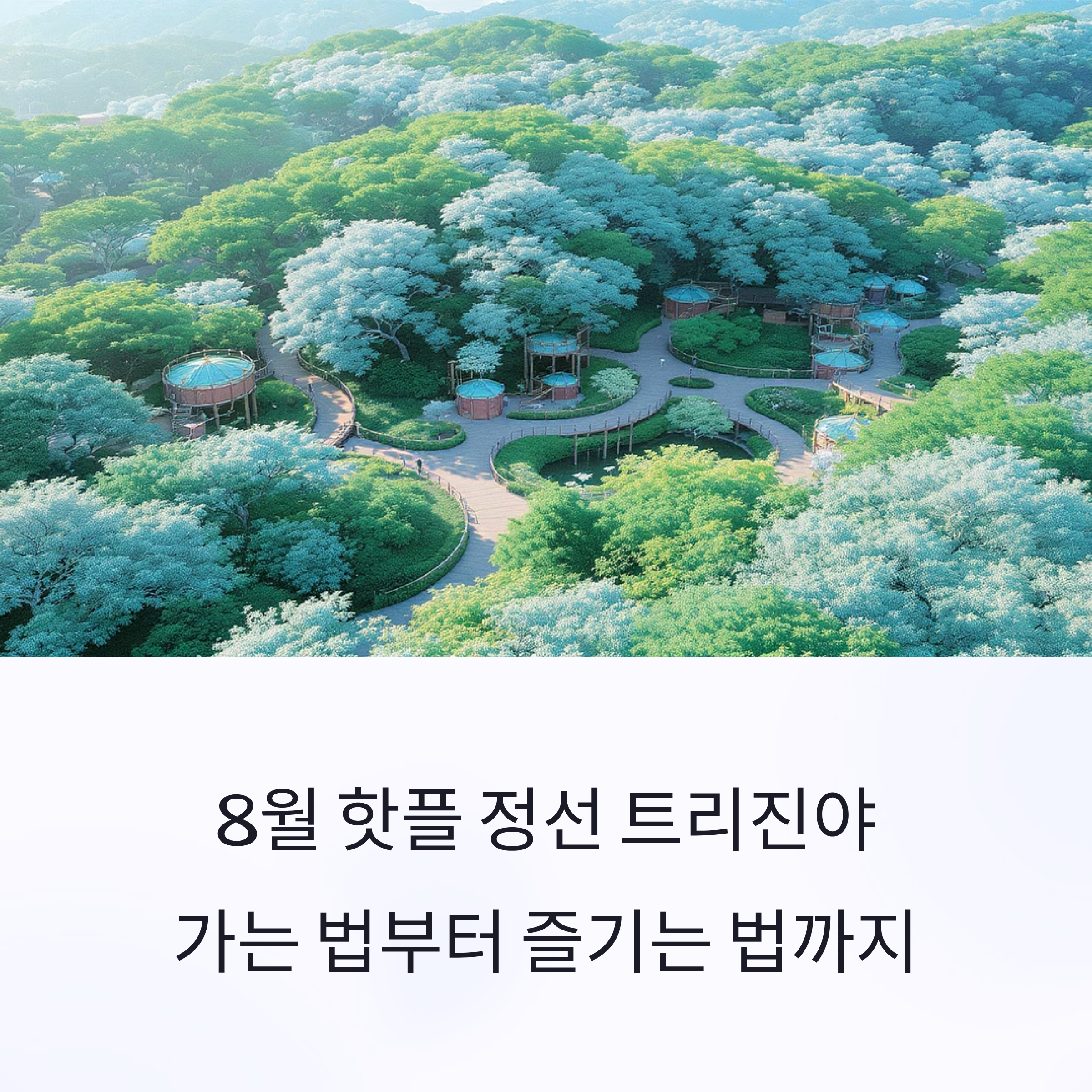 핫플 정선 트리진야, 가는 법부터 즐기는 법까지