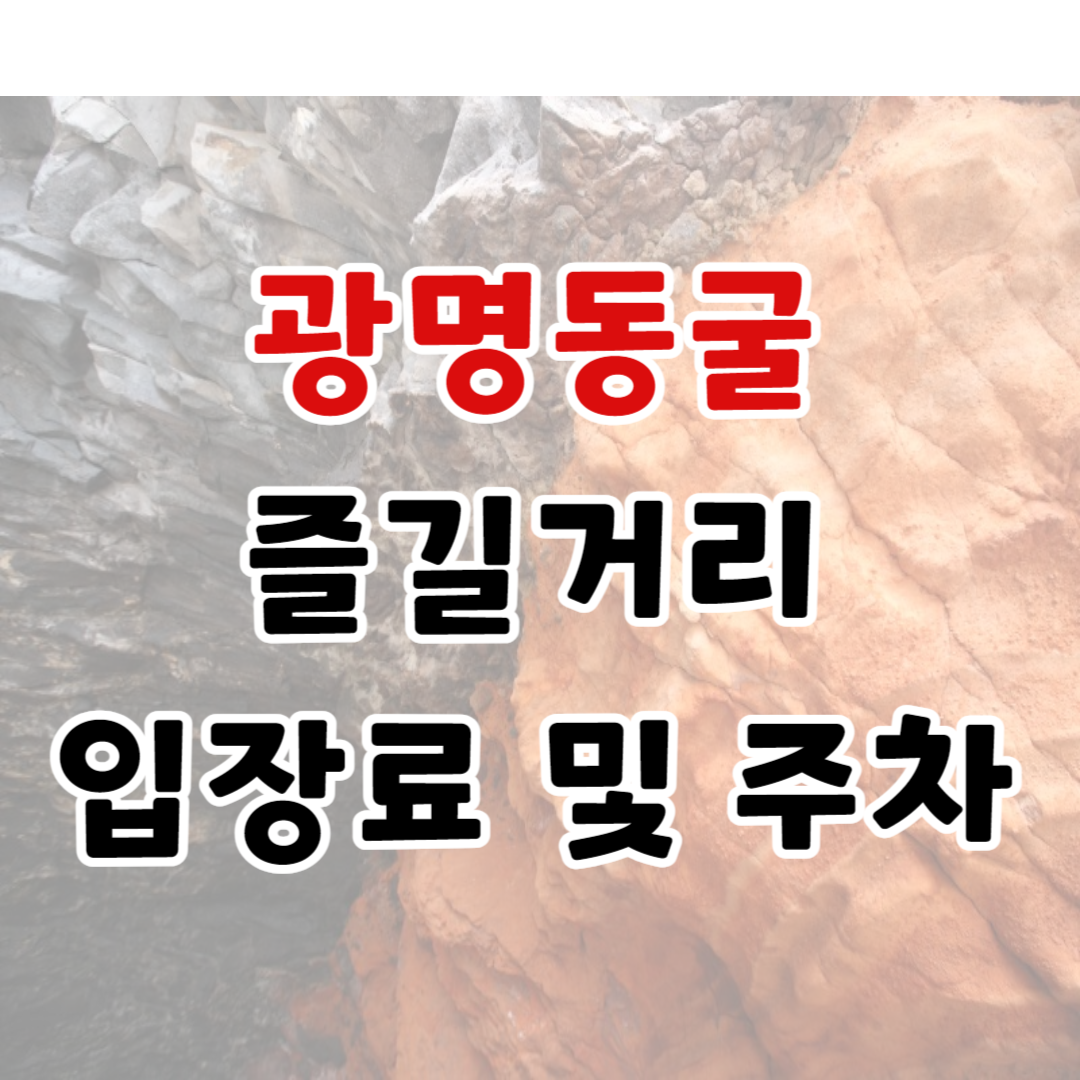 여름 실내 휴가지 광명동굴 ㅣ즐길거리, 입장료, 운영시간, 주차장