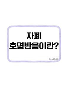 자폐호명반응