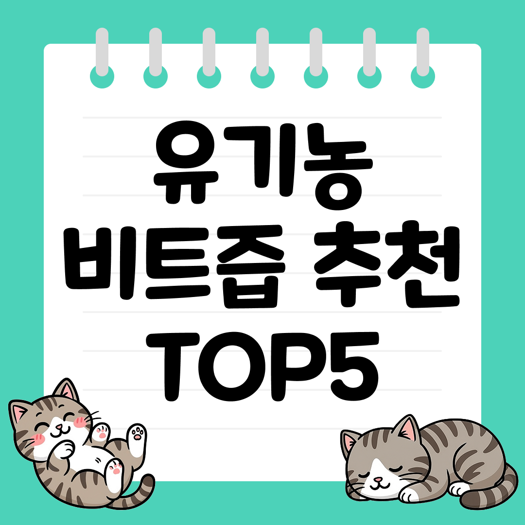 혈압 관리와 혈액순환에 좋은 유기농 비트즙 TOP5