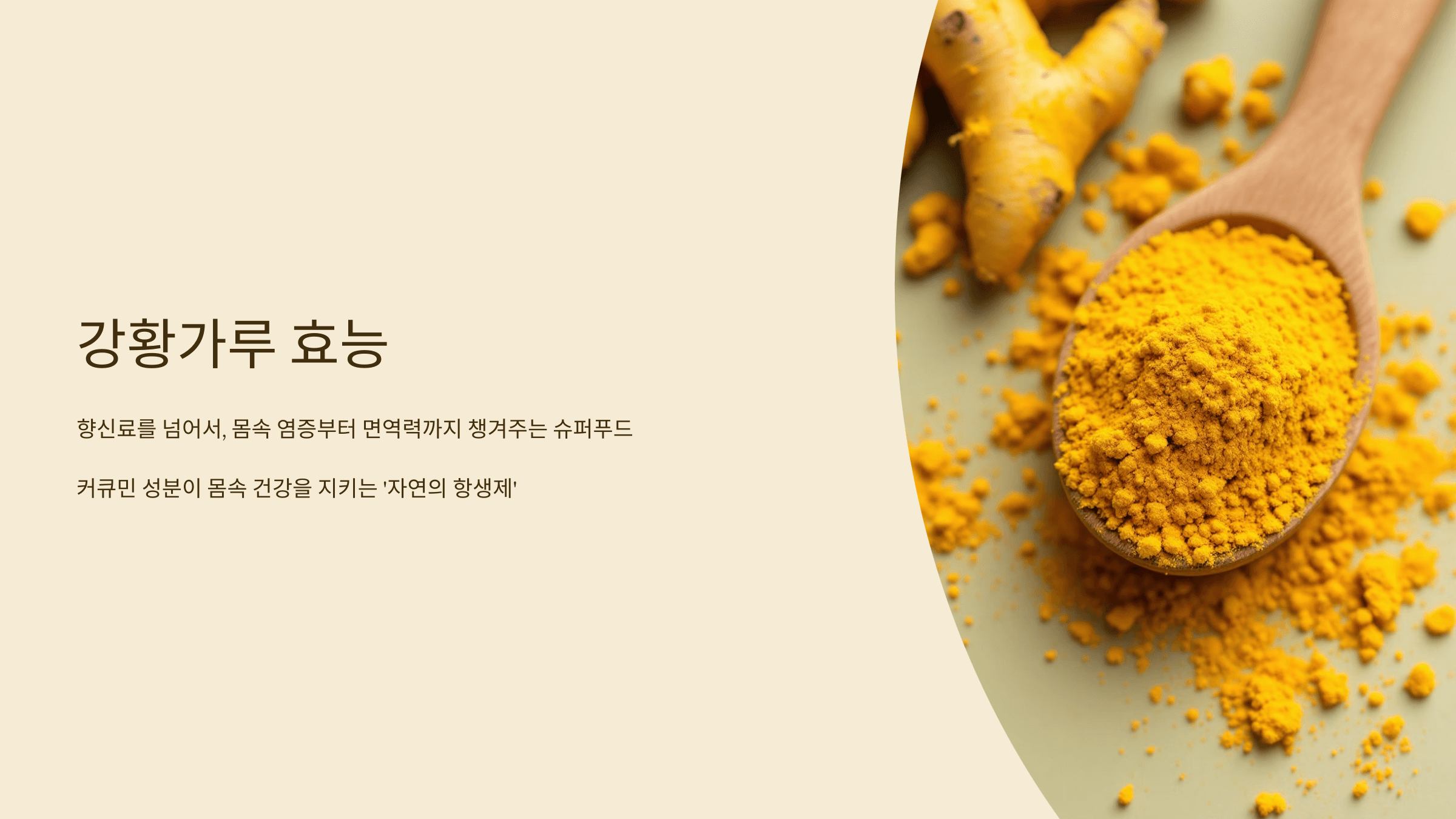 강황가루 사진입니다.