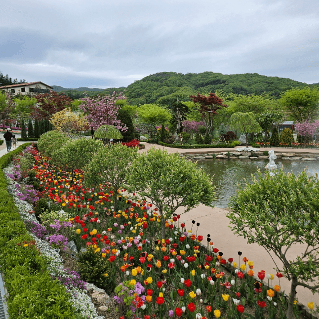 용인 자작나무숲 봄꽃축제
