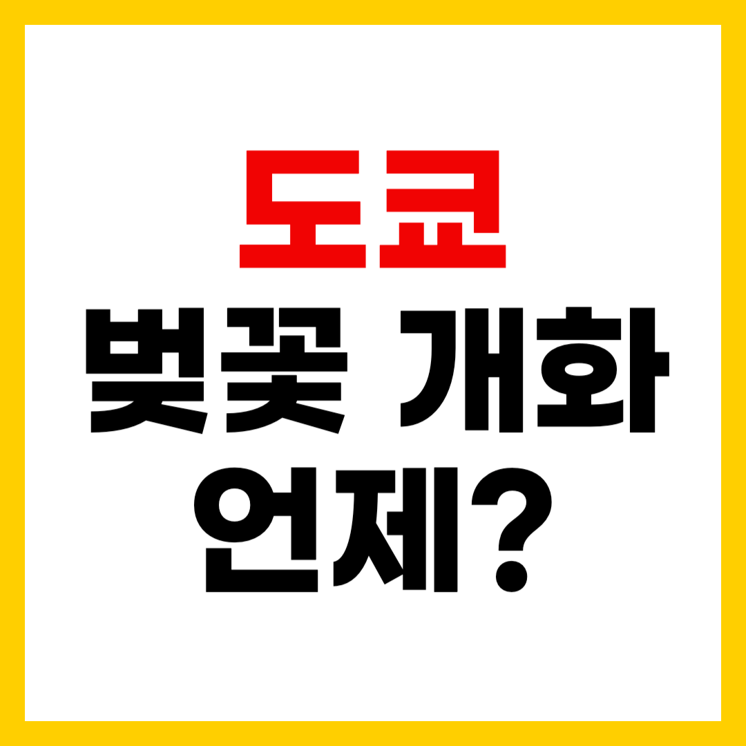 2025년 도쿄 벚꽃 개화 시기 언제? 일본 벚꽃 명소 Best 5