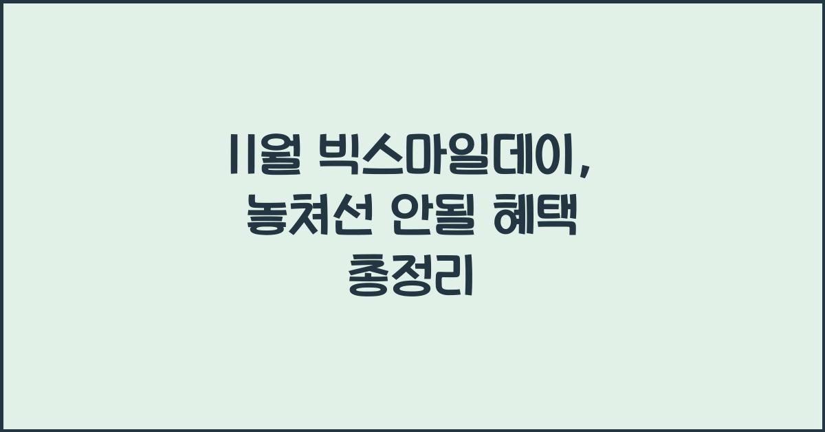 11월 빅스마일데이