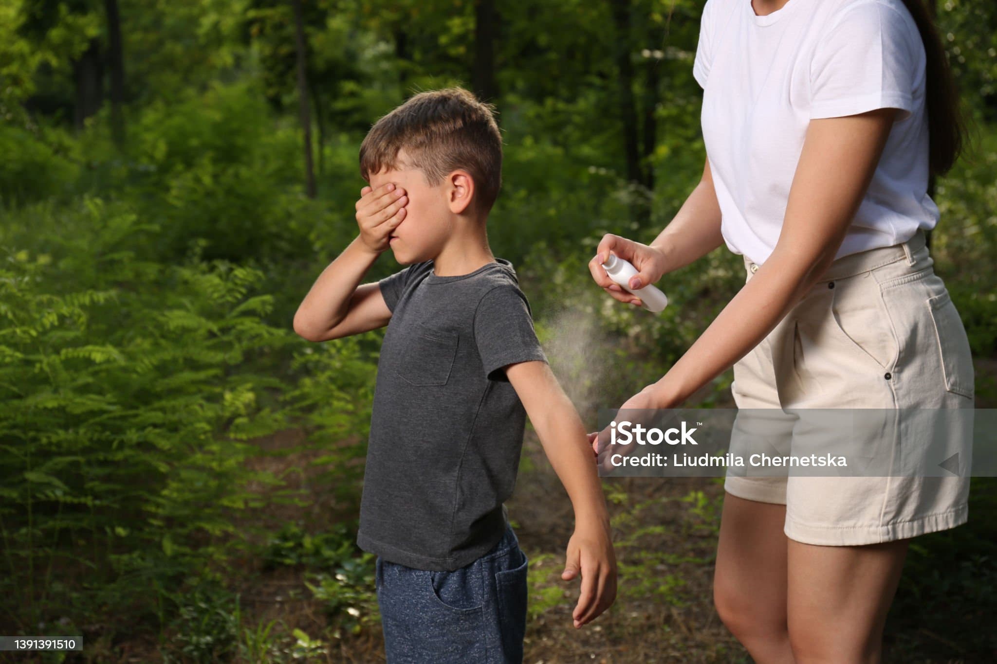 여름철 벌레 물림 & 가려움 완화템 시장, 작지만 꼭 필요한 시장