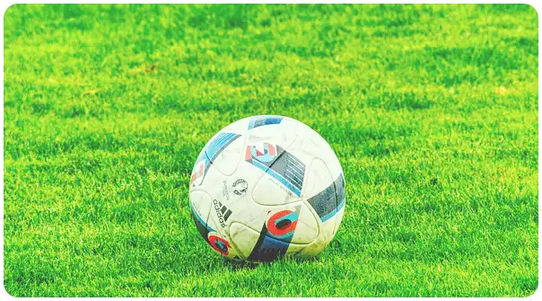 손흥민 연봉 (순위, 재계약 협상은 어떻게?)