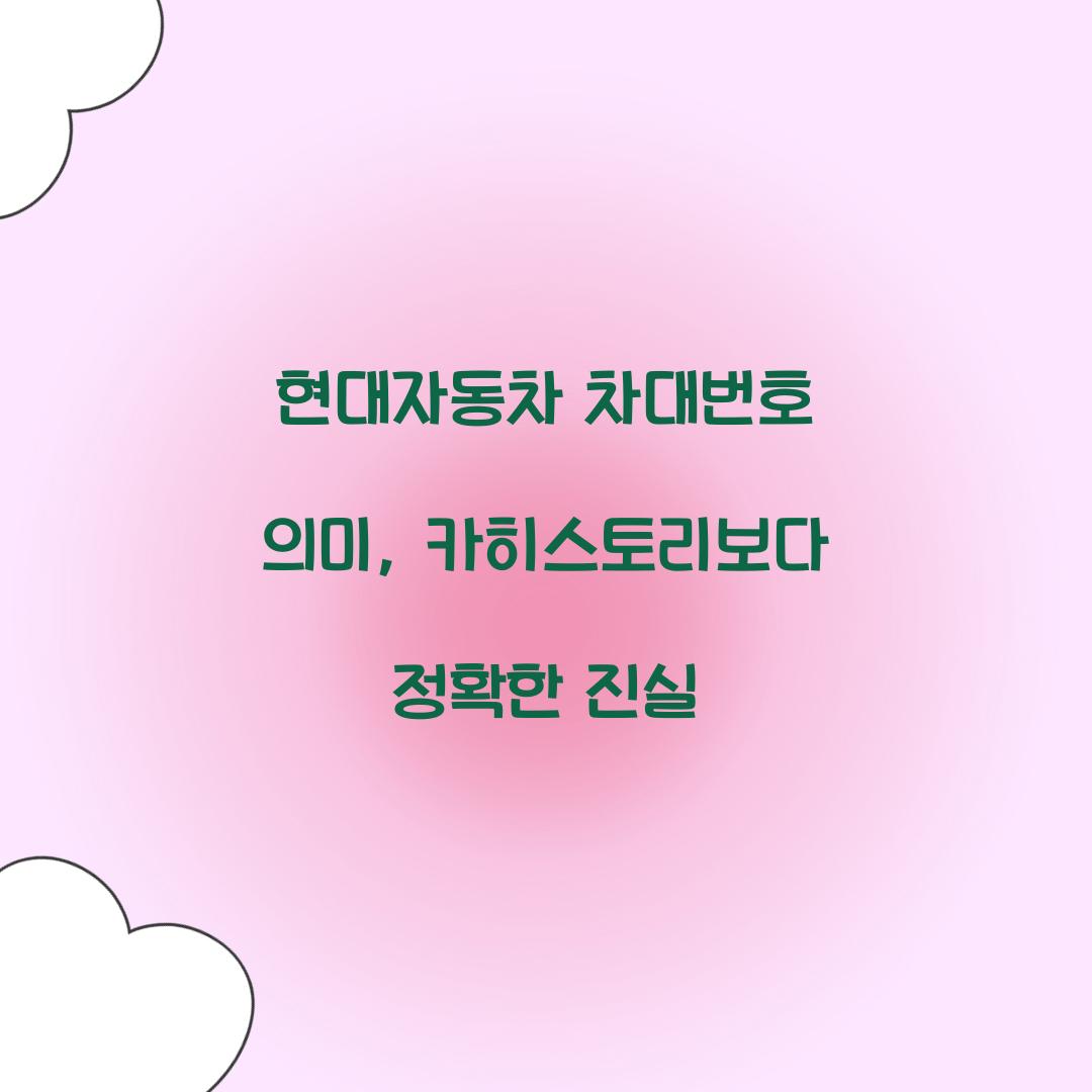 현대자동차 차대번호 의미, 카히스토리보다 정확한 진실