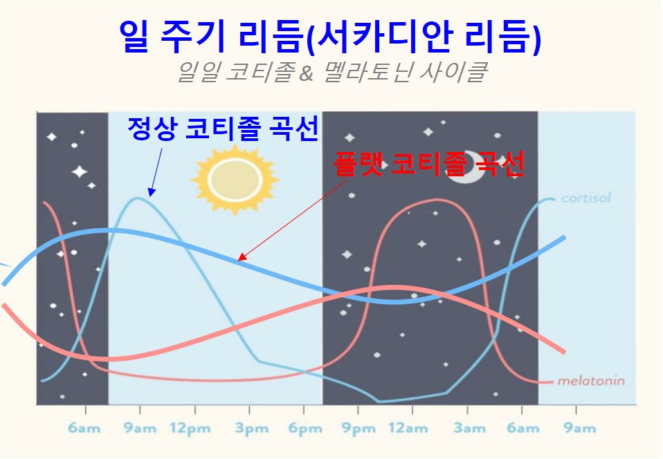 잠 수면