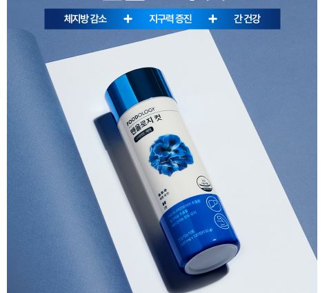 파란통-다이어트