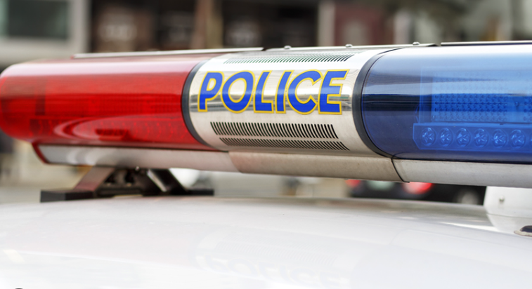 교통위반 범칙금 과태료 차이 조회 방법!