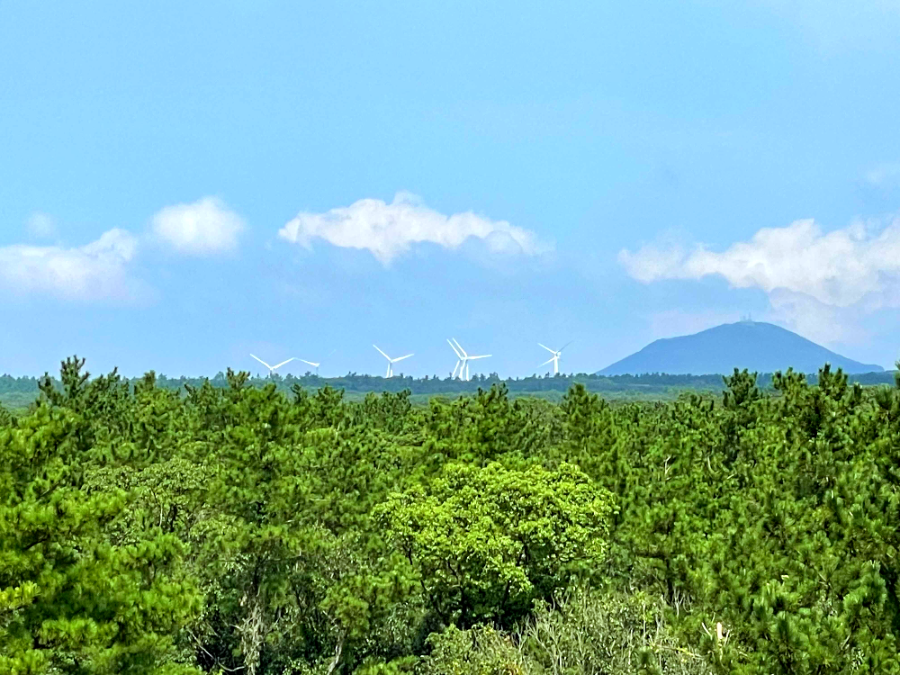 제주 곶자왈 도립공원 전망대
