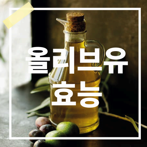 올리브유효능