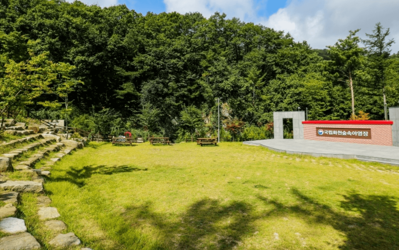 강원도 겨울 반려동물 애견 동반 여행지 추천