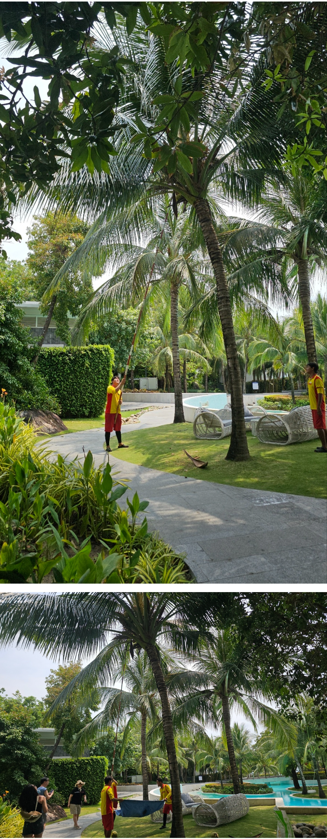 프리미어 빌리지 (이용시설/프로그램/조식 편)