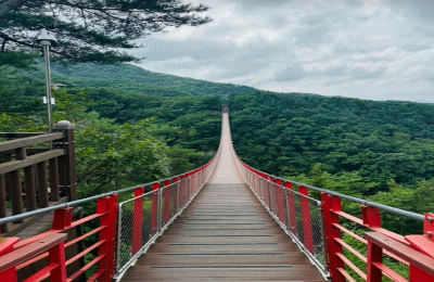 파주 시티투어 버스 예약