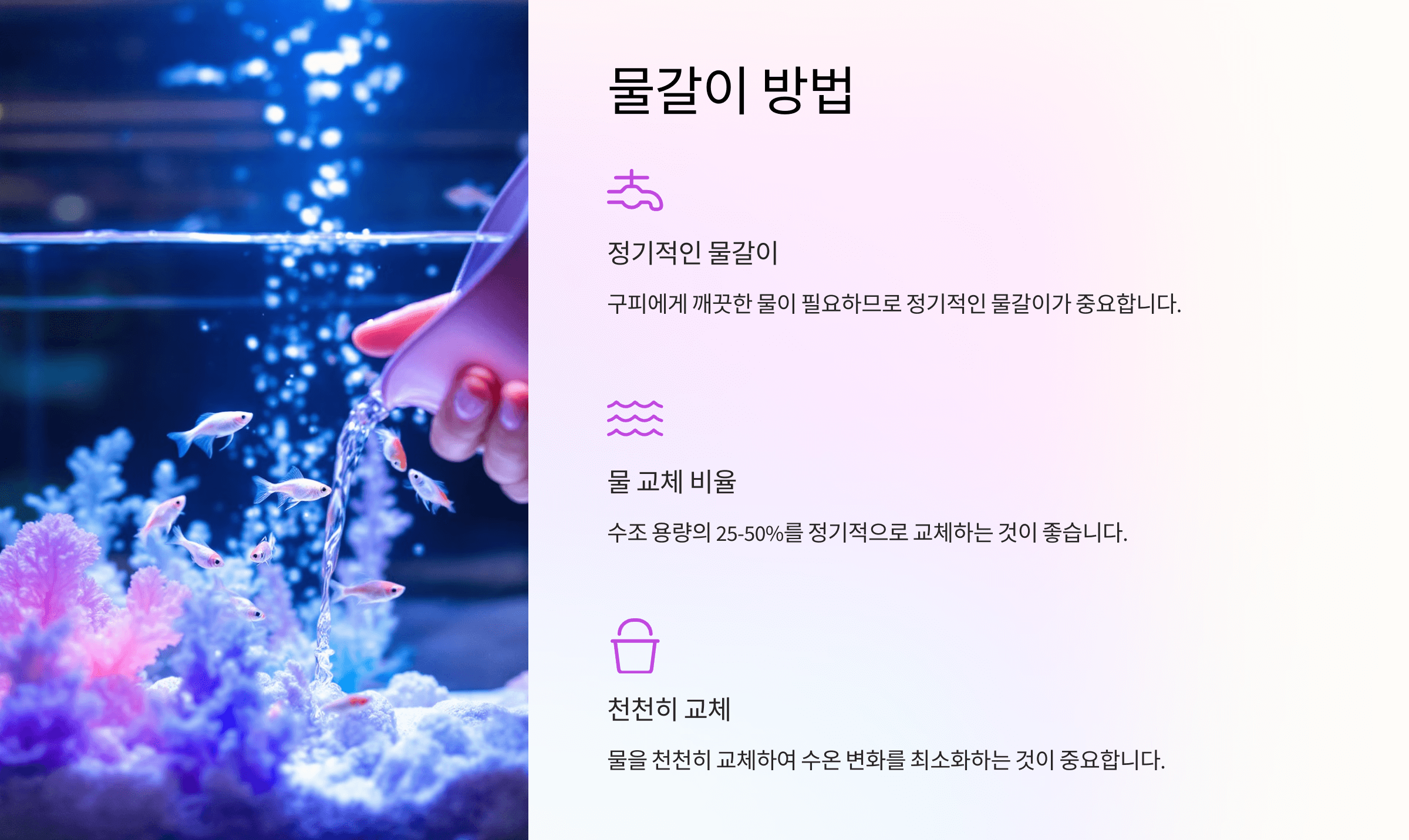 구피 사진입니다.