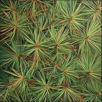 솔잎 효능수확기솔잎 효소 만드는법솔잎차세척활용법보관법까지_17