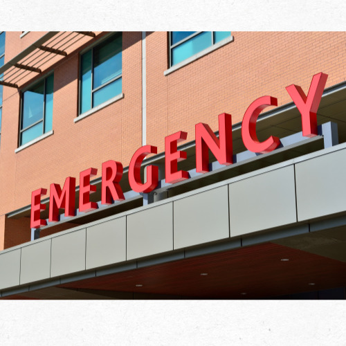 서울 지역 광복절 공휴일 진료 병원 목록 화면