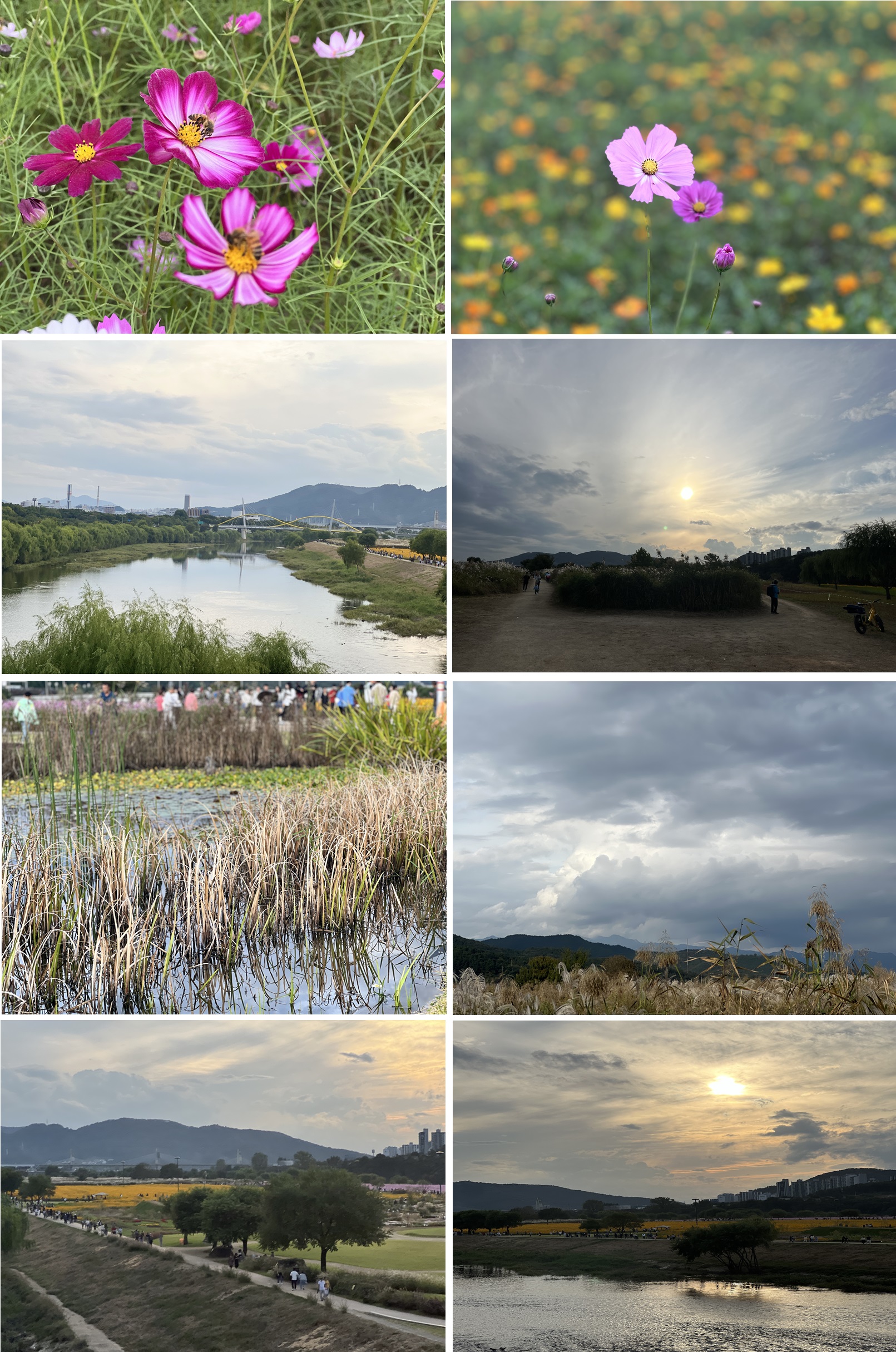 하중도-금호꽃섬-사진들