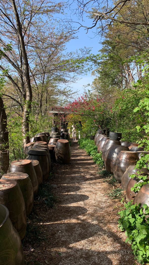 당진 아미미술관 장독대