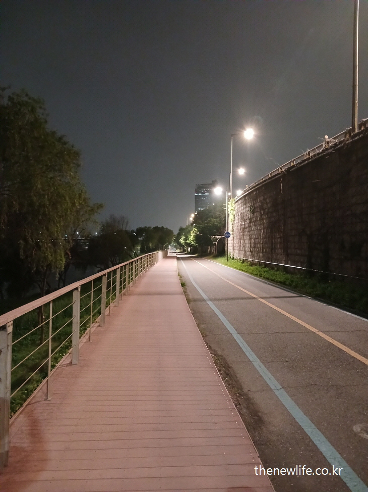 Quiet riverside walking path at night – part of the daily routine for consistent fat-burning walks.-밤에도 걷기 운동을 했던 조용한 강변 산책로 – 똥배 없애는 데 꾸준함이 중요했습니다.