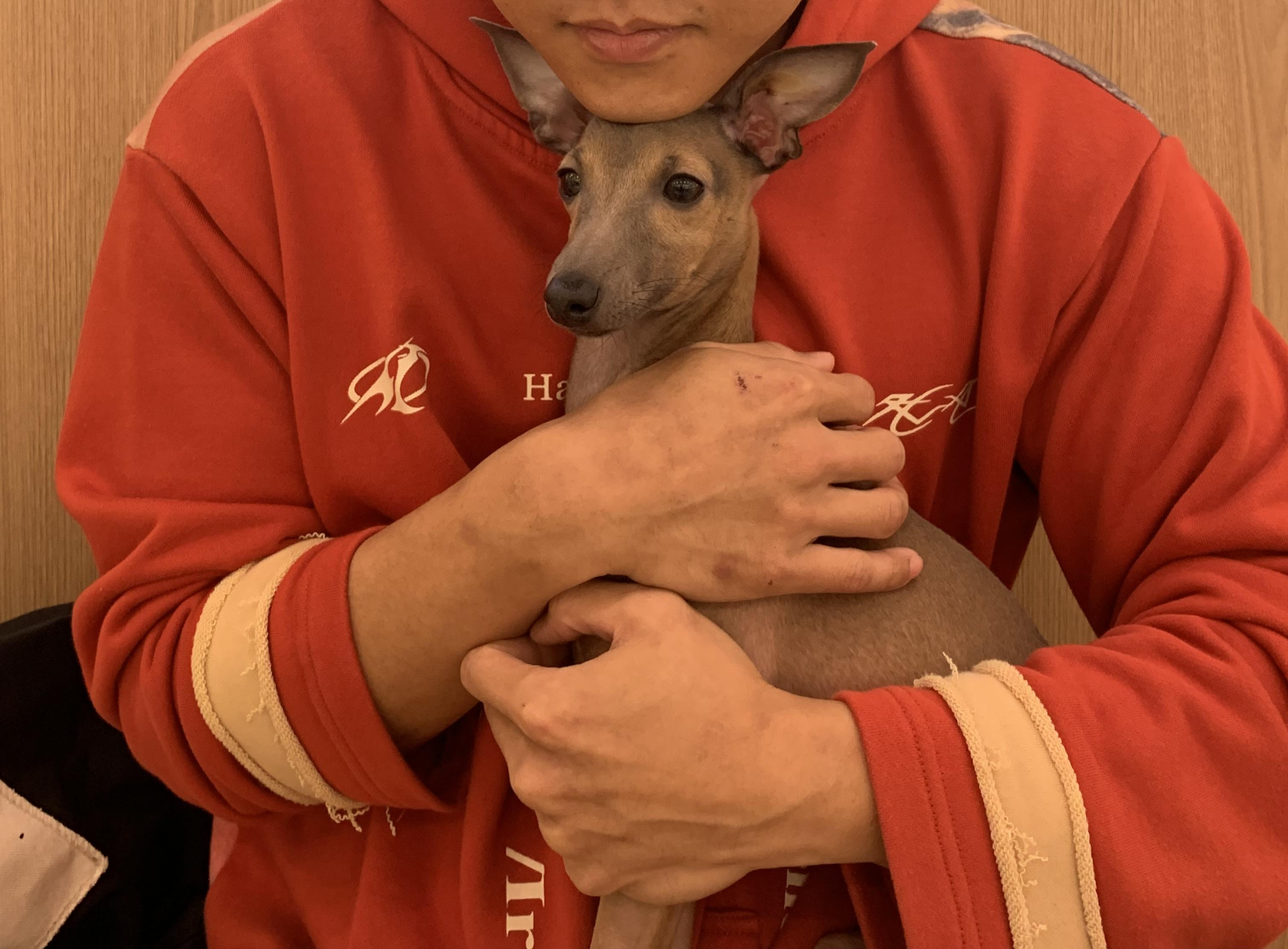 부천 부천시청 애견카페 애견유치원 애견호텔 멍스냅