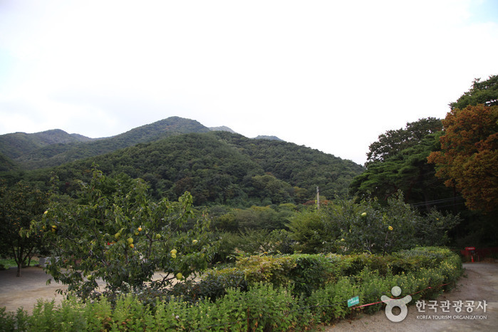 포항 가볼만한곳 베스트10