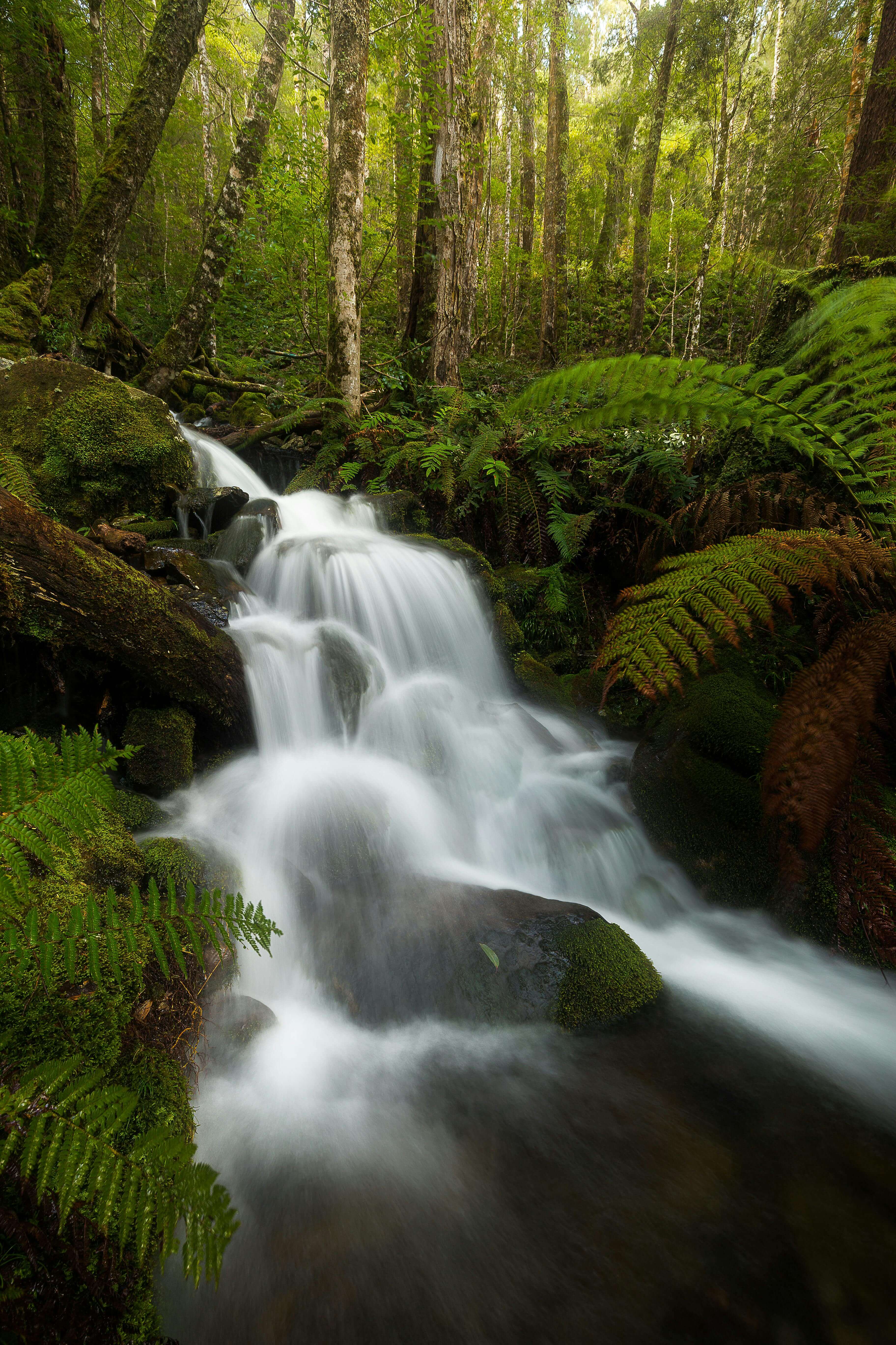 2025 설 기차표 예매 일정과 예매 방법 총정리