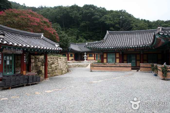 전라남도-강진군-백련사