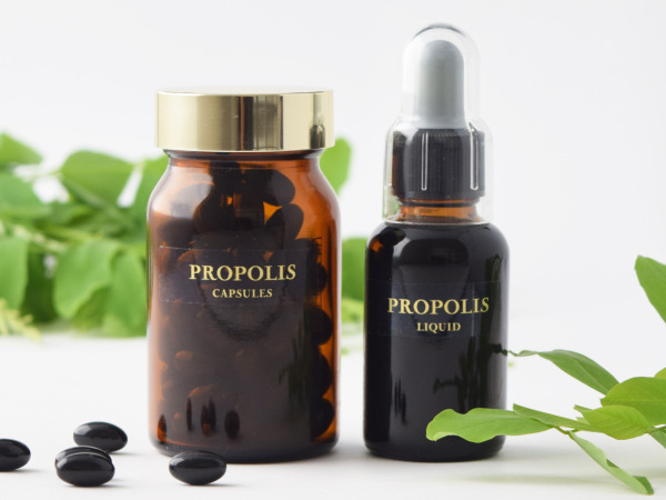 사양벌꿀 진짜벌꿀 차이