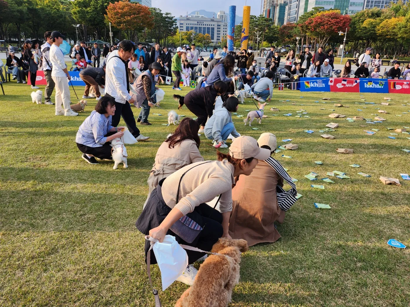 안양 반려동물 축제