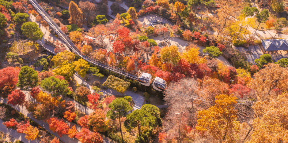 11월 축제 가볼만한 곳 베스트5
