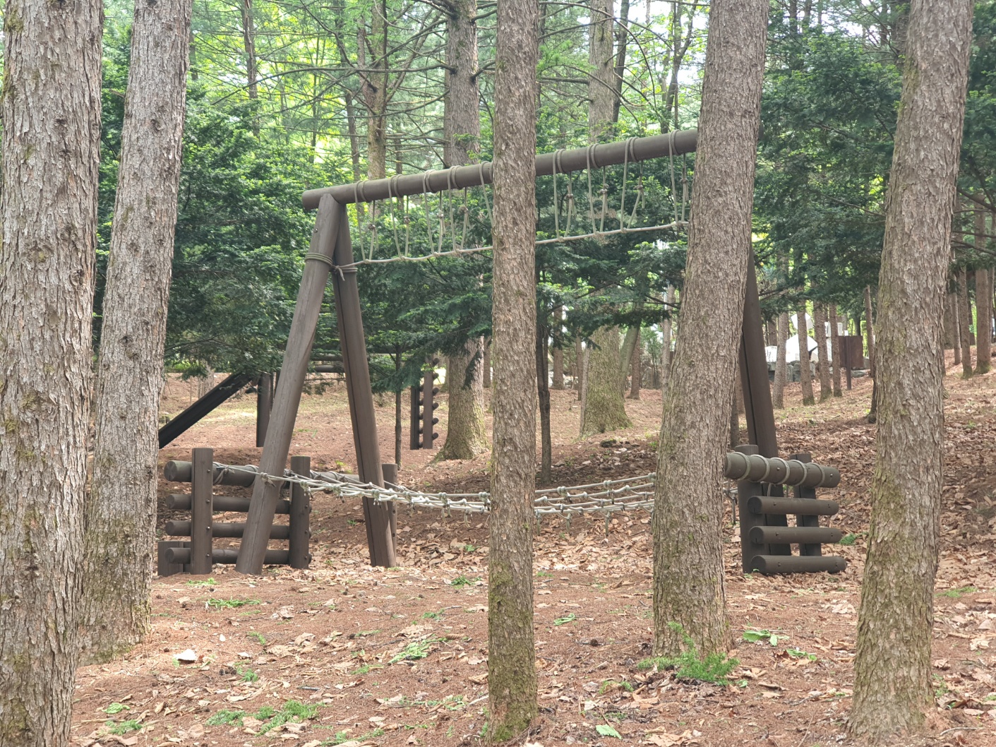 봉래산산림욕장