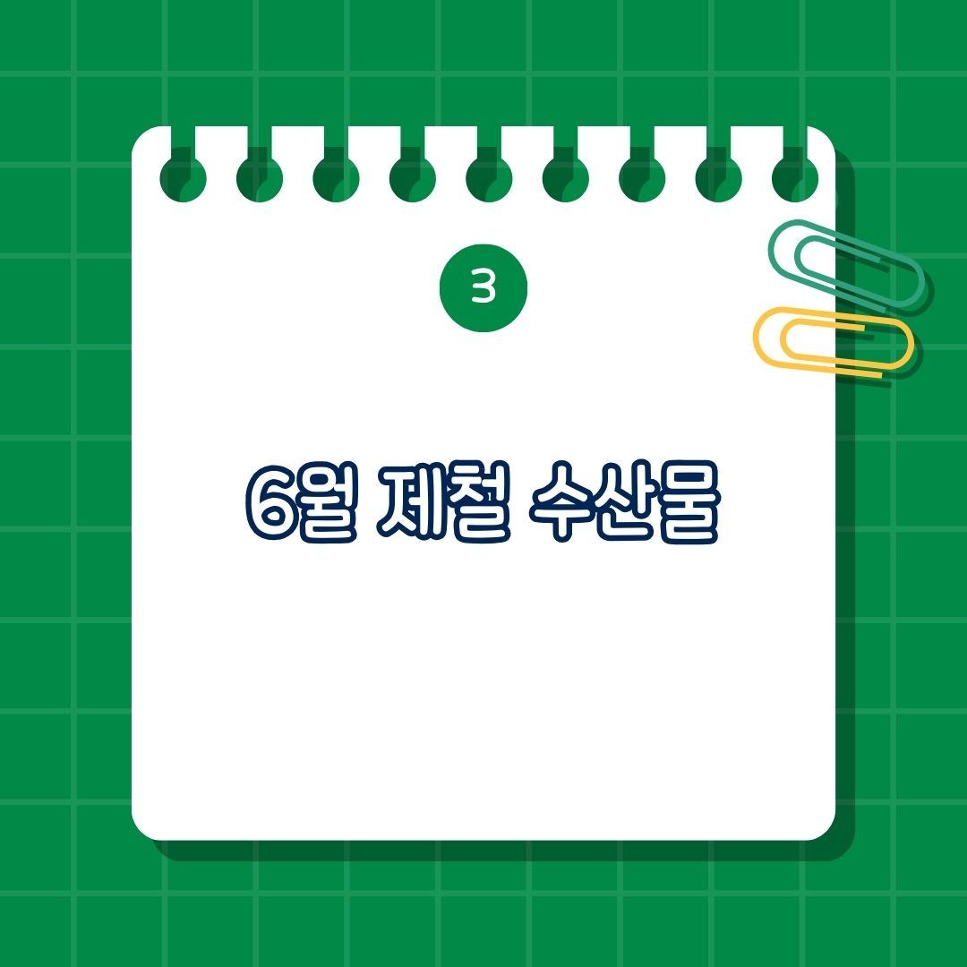 6월 제철 음식과 각각의 효능, 먹는 법, 6월 제철 음식, 오징어, 꽃게, 새우, 갈치 효능, 먹는 법