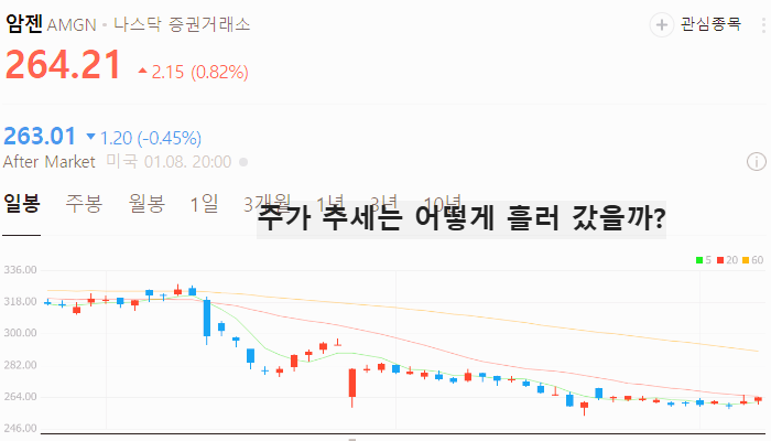 미국 제약바이오 관련주 대장주 테마주 TOP5