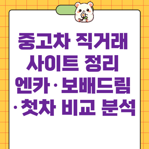 중고차 직거래 사이트