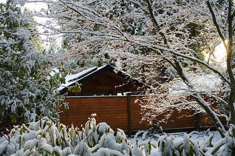 눈꽃이 핀 나무들